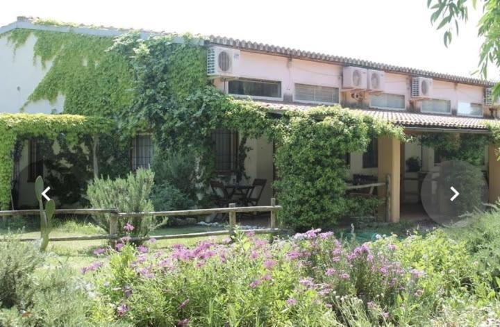 Apartmán Il Piccolo Borgo Montalto di Castro Exteriér fotografie